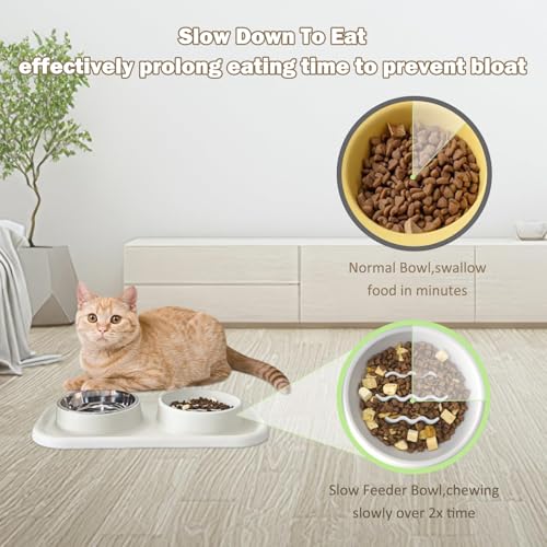 Waterproof Silicone Cat Food Bowls, Stainless Steel & Silicone Slow Feeder Double Bowls, Non-Skid & Non-Spill Raised Edge, Food and Water Feeder for Cat and Puppy - color: Silicone material-Beige