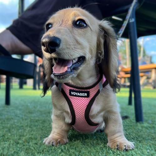 Best Pet Supplies Voyager Step-in Air All Weather Mesh Harness and Reflective Dog 5ft Leash Combo with Neoprene Handle, for Small, Medium and Large Breed Puppies - Set (Pink/Black Trim), XX-Small - color: Harness Leash Bundle (Pink/Black Trim), size: XXS