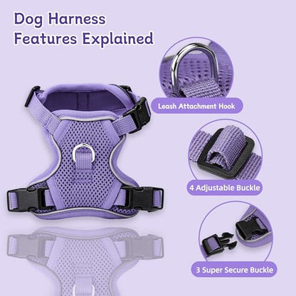 Small Dog Harness and Leash Set, Reflective Soft Breathable Mesh Vest, 3 Buckles, Adjustable Neck and Chest,Step in Dog Harness for Walking, Running, Training, Purple, XS - color: Purple, size: X-Small