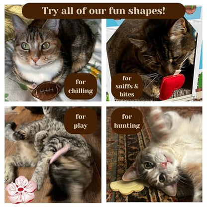 Catnip Toy – Football Shape, Organic Catnip, 100% Wool Felt, Grown & Made in The USA - Football - color: Football, size: 1 pack