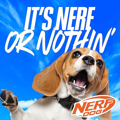 Nerf Dog Tennis Ball Blaster Dog Toy Blue/Orange, 16 Inch Compact Blaster with 1 Ball - size: 16 in Compact Blaster with 1 Ball