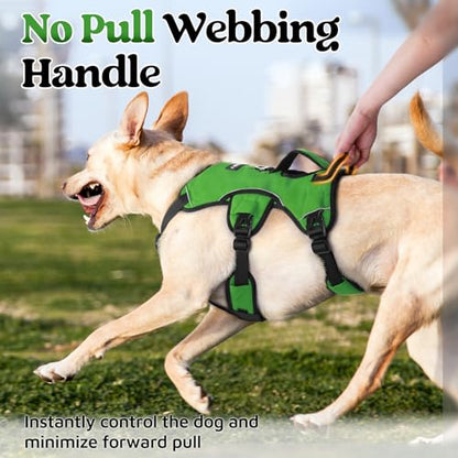 rabbitgoo Escape Proof Dog Harness, Soft Padded Full Body Pet Harness, Reflective Adjustable No Pull Vest with Lift Handle and Lesh Clip for Large Dogs Walking Hiking Training, M, Green - color: Green, size: Medium (Pack of 1)