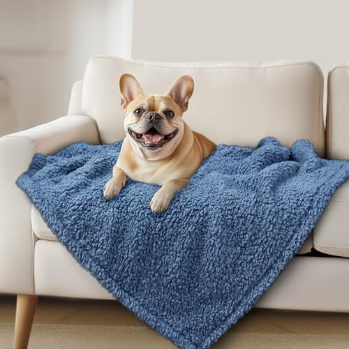 Luciphia Premium Fleece Dog Puppy Blanket Soft Pet Sherpa Calming Cat Blankets Throw for Small Medium Dog Cat(Haze Blue,41x31 inches) - color: Haze Blue, size: 41x31 inches