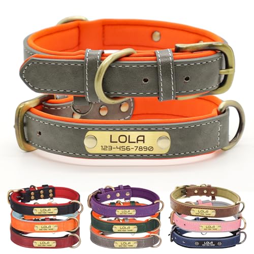 Custom Leather Dog Collar with Name Plate - Personalized Collar for Dogs with Laser-Engraved Nameplate - PU Faux Leather with Neoprene Lining (Gary, XS (8.5-10.5 Inches)) - color: Gray, size: XS (8.5-10.5 Inches)