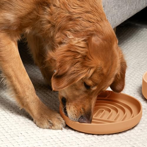 Should We Go? Slow Feeder for Dogs & Puppies, The Slowdown Bowl Silicone Slow Eating, Lick Mat Design, Reduces Gulping, Fits 2.5 Cups, 9.5” Across x 1.5” Tall, Mealtime Challenge, Large-Terracotta - color: Terracotta - Rainbow Design, size: Large (9.5” Ac