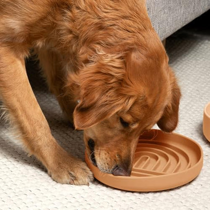 Should We Go? Slow Feeder for Dogs & Puppies, The Slowdown Bowl Silicone Slow Eating, Lick Mat Design, Reduces Gulping, Fits 2.5 Cups, 9.5” Across x 1.5” Tall, Mealtime Challenge, Large-Terracotta - color: Terracotta - Rainbow Design, size: Large (9.5” Ac