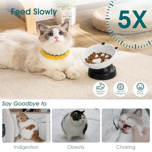 vancasso Slow Feeder Cat Bowls, Ceramic Elevated Slow Feeder Cat Bowls, Raised Food Bowl for Wet Food (Black) - color: Black
