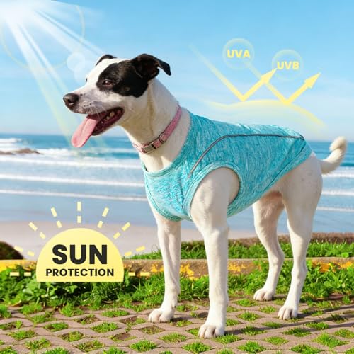 PETCARE Sun Protection Dog Shirts for Small Dogs Quick Dry Soft Stretchy Dog T-Shirts with Reflective Label Tank Top Sleeveless Vest Pet Clothes, Athletic Fabric, Blue, L (Chest 19" Length 15.7") - color: Blue, size: L ( Suggest 13-17 lbs)