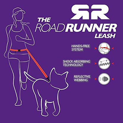 EzyDog Road Runner Hands Free Dog Leash – Waist Leash for Dog Walking, Jogging and Running with Zero Shock Bungee, Reflective Stitching, and Adjustable Waist (Black) - color: Black, size: 7 Foot
