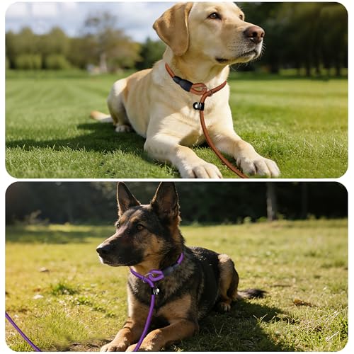 FOVRLZSE Nylon Dog Leash 5-Pack (Red/Black/Blue/Brown/Purple), 4.6FT Training Leash for Small to Medium Dogs, 10mm Braided Nylon with TPU Non-Slip Buckle, Daily Walking & Puppy Training - color: Deep Colors