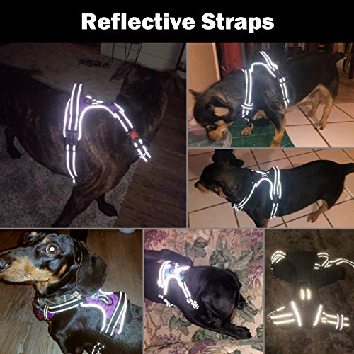 PHOEPET No Pull Dog Harnesses for Small Dogs Reflective Adjustable Front Clip Vest with Handle 2 Metal Rings 3 Buckles [Easy to Put on & Take Off](S, Green) - color: Green, size: Small