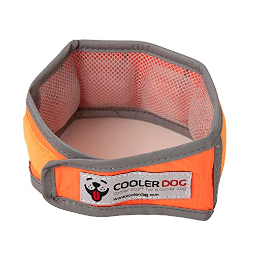 CoolerDog Hi-Vis Cooling Dog Collar for Small Dogs – Reflective Re-Freezable Ice Collar for Hot Weather & Heat Relief (Orange, Small) - size: Small