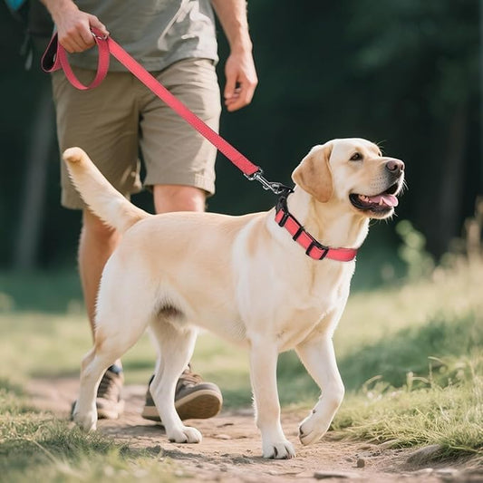 Reflective Dog Collar,Soft Neoprene Padded Breathable Nylon Pet Collar Adjustable for Large Dogs,Pink, L - color: Pink