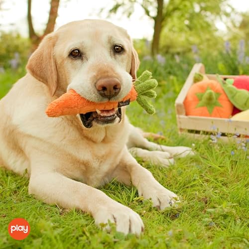 P.L.A.Y. Cute Plush Dog Toys - Fruit & Vegetable Themed Durable Squeaker Chew Toy, Great for Puppies & Small, Medium, Large Dogs - Machine Washable, Recycled Materials (Garden Fresh Carrot, Medium) - color: Carrot, size: Medium