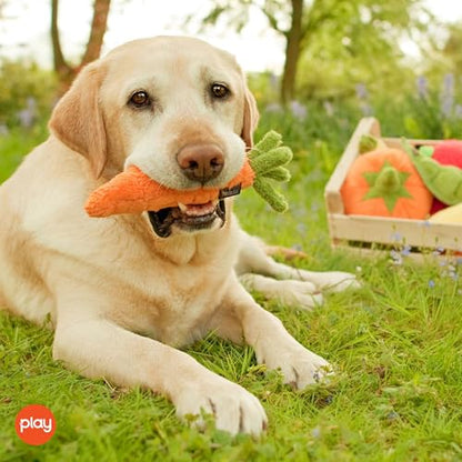 P.L.A.Y. Cute Plush Dog Toys - Fruit & Vegetable Themed Durable Squeaker Chew Toy, Great for Puppies & Small, Medium, Large Dogs - Machine Washable, Recycled Materials (Garden Fresh Carrot, Medium) - color: Carrot, size: Medium