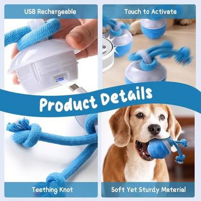 Dog Ball Toy Tail 2.0 Dog Toy, 2025 New Smart Interactive Cats Toys Ball, Squeaky Toy Electric Automatic Rolling Moving Pet Toy Balls with Rope for Cats and Medium Small Dogs Puppy (Blue, 2pcs) - color: Blue, size: 2pcs