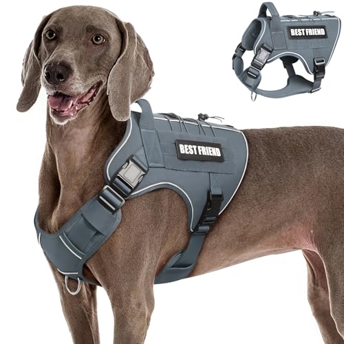Tactical Dog Harness for Large Dogs,No Pull Military Dog Vest with Handle,Reflective Heavy Duty Pet Harness for K9 Working Walking Hiking Training Gray XL - color: Gray, size: Extra-large