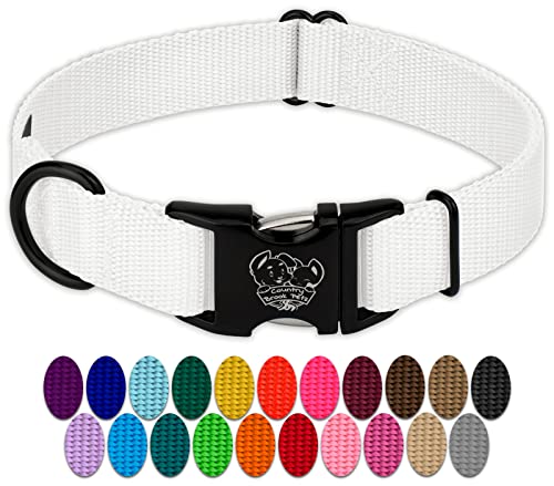 Country Brook Petz - Premium Nylon Dog Collar with Metal Buckle for Small Medium Large Breeds - 10+ Cool Colors (Small, 3/4 Inch, White) - color: White, size: Small (Pack of 1)