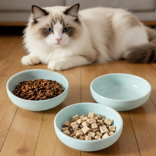 5.3 in Ceramic Cat Dishes - Shallow Food Bowls for Small Pets, 3 Pack for Food and Water -Light Blue - color: Light Blue
