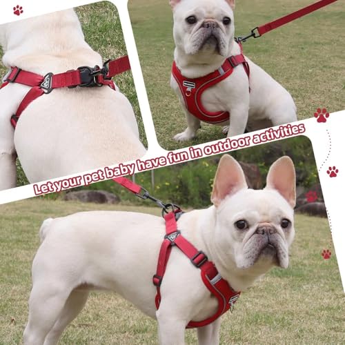 Dog Harness and Leash Set, Adjustable Triangle, Reflective Adjustable Puppy Vest, No Pull Soft Mesh Harness for Small, Medium Dogs, Cats (Red, XL) - color: Red, size: XL