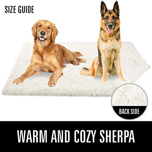 LOCHAS Luxury Fluffy Dog Blanket, Extra Soft and Warm Sherpa Fleece Pet Blankets for Dogs Cats, Plush Furry Faux Fur Puppy Throw Cover, 40''x60'' Cream White - color: Cream White, size: Large(40''x60'')
