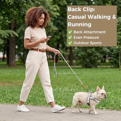 No Pull Dog Harness with Handle, French Bulldog Adjustable Reflective Dog Vest, Breathable Air Mesh Padded Pet Harness with Front Leash Clip for Small Medium Dogs, Light Grey, L - color: Light Grey, size: Large
