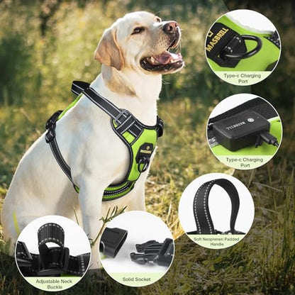 Light Up Dog Harness - LED No Pull Rechargeable Illuminated and Reflective Vest for Night Walking, Adjustable Dog Harness - color: Green, size: M