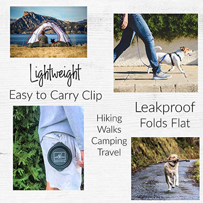 Lucky Love Dog Travel Dog Bowl, Collapsible Compact Water Dog Dish, Rose - color: Rose