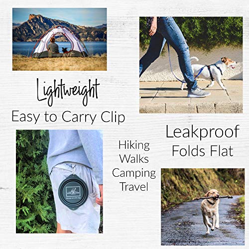 Lucky Love Dog, Collapsible Dog Bowl Compact Travel Water Dog Dish, Steel - color: Steel