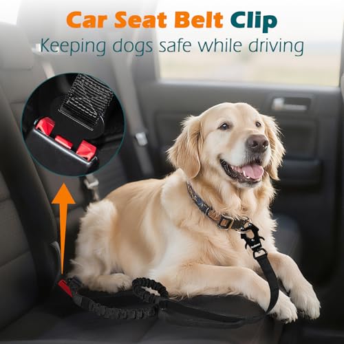 Heavy Duty Tactical Dog Leash, 5 FT Bungee Shock Absorption Leash with 2 Padded Handles, Quick Release Metal Clip, Car Seatbelt, No Pull Training Lead for Large Medium Dogs (Black) - color: Black
