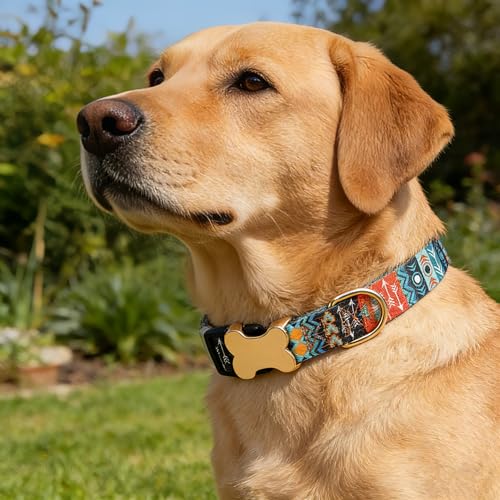 Personalized Custom Customized Silent No Jingle Dog Collar with Engraved ID Dog Name Phone Number/Dog Collars for Puppy X-Small Small Medium Large X-Large Boy Girl Dogs-Maya-XS - color: 3 Maya, size: X-Small (0.6" *7.8"-11.8")