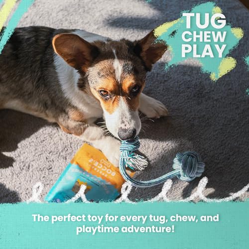 Snugarooz Lil Baby Rope Dog Toy – Durable and Compact Design - Perfect for Small Breeds and Tough Chewers - Ideal for Tugging and Chewing Fun - style: Lil Baby Rope