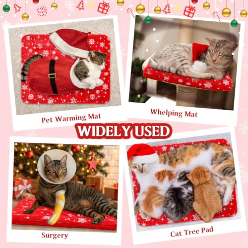 2 Pack Winter Self Warming Cat Mat Snowflake Red Self Heating Pad Bed 22" x 18" Reversible Reflects Body Heat Machine Washable Thermal Pet Blanket for Winter Indoor Pet Kitten Dog Crate - color: Red