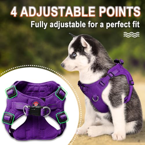 Dog Harness Step in Dog Vest Harness, Reflective Adjustable Puppy No Pull Harness Breathable Soft for Small and Medium Dogs Cats, Purple, XXS - color: Purple, size: XX-Small
