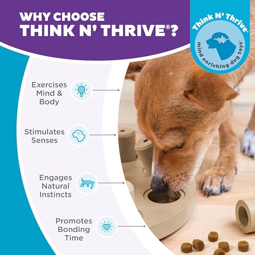 Outward Hound by Nina Ottosson Dog Smart Treat Puzzle Enrichment Toy, Level 1 Beginner, Tan, Composite - color: Dog Smart Composite (Tan)