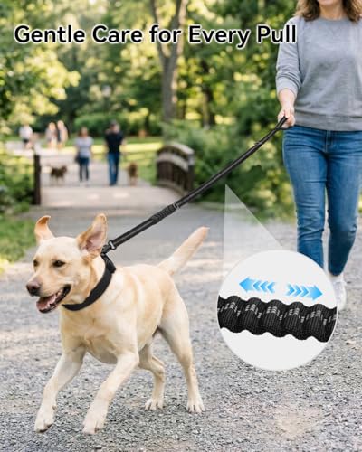 Joytale Tactical Dog Leash Heavy Duty, 4-6FT Shock Absorbing Bungee Lead with 2 Padded Handle, Metal Carabiner Clip, Car Seatbelt, Strong No Pull Leash for Medium Large X-Large Dogs, Black - color: Black