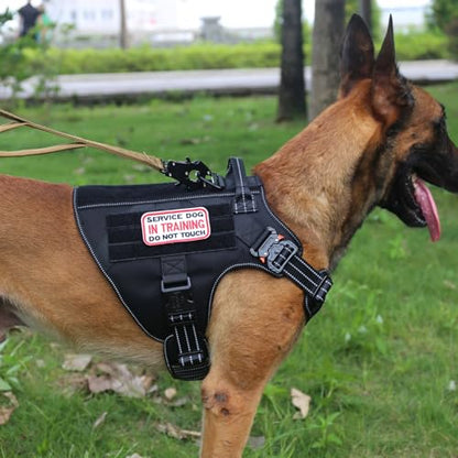 ICEFANG Tactical Dog Harness, Large Size,2X Metal Buckle,Working Dog MOLLE Vest with Handle,No Pulling Front Leash Clip,Hook and Loop Panel (Black,L (Pack of 1)) - color: Black, size: Large (Pack of 1)