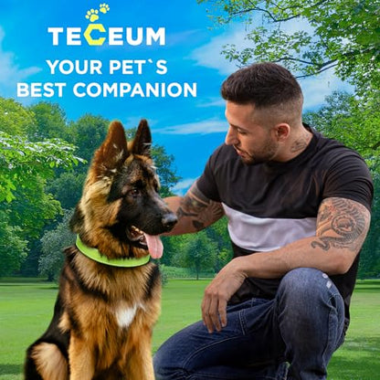 TECEUM Reflective Dog Collar – Acid Green – XS – Extra Soft Padding – Basic Nylon Pet Collar – Quick Release Buckle – Fits Small, Medium and Large Dogs, Puppies, Cats – ESA & Service Dog Options - color: Acid Green, size: X-Small