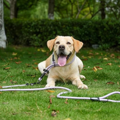 Rope Dog Leash, 6 Foot Heavy Duty Dog Leash with Aviation Aluminum Auto Locking Carabiner, Strong Nylon Pet Lead for Small, Medium, Large Dogs (Purple, 6FT) - color: Purple, size: 6 Foot Single Handle