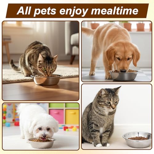 2 Pack Small Stainless Steel Dog Bowls 5 Inch Metal Dog Food Bowls Pet Feed Water Bowl for Large Medium Small Dogs, Thickened Durable Replacement Bowl for Elevated Stand, Kitten, Puppy