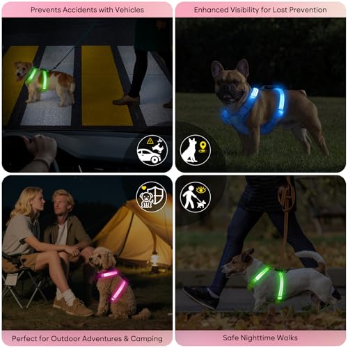 Light Up Small Dog Harness, LED Rechargeable Harness for Small Sized Dog, No Pull Reflective Adjustable Dog Vest Harness with Soft Light, Glow-in-The-Dark for Night Safety Walking (Pink)