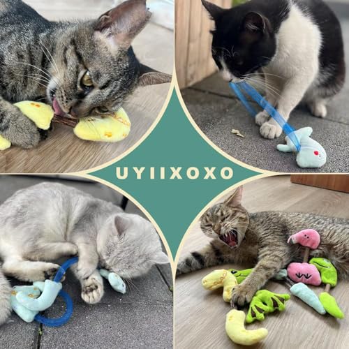 Interactive Cat Toys Set, Silvervine Chew Sticks and Catnip Spring Ropes, Indoor Cat Toys for Exercise and Dental Care, for All Cat Breeds (5 Packs) - color: 5 Packs