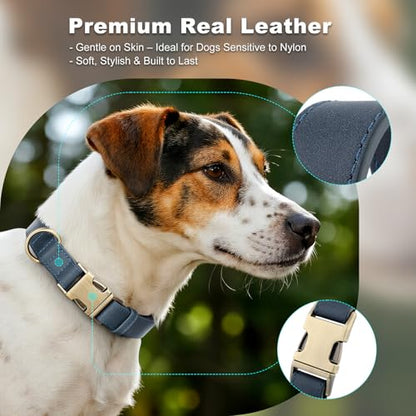 Plutus Pet Genuine Leather Dog Collar – Adjustable Pet Collar with Quick Release Metal Buckle, Soft Real Leather for Small Medium Large Dogs, Heavy Duty & Skin-Friendly (Blue, S) - color: Blue, size: S