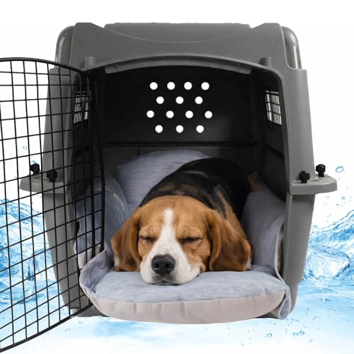 Helen's Pet Bed Cooling Dog Crate Bed, Reversible Washable Crate Mat for Medium Dogs, Summer Cooling Dog Bed, Multi-Fit Cushion for Crate Carrier Stroller, Blue, M(Label: L JP Size) - color: Blue (Cooling), size: Medium