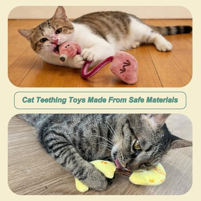 Interactive Cat Toys Set, Silvervine Chew Sticks and Catnip Spring Ropes, Indoor Cat Toys for Exercise and Dental Care, for All Cat Breeds (5 Packs) - color: 5 Packs