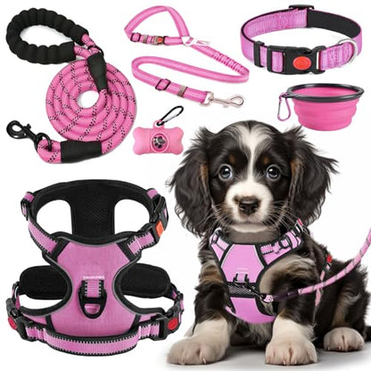 LOBEVE No Pull Dog Harness, Collar & Leash Set | Includes Dog Seat Belt, Collapsible Bowls & Poop Bag Dispenser. Ideal for Training, Walking, Hiking. Fits Small to Large Dogs(Pink-S) - color: Pink, size: Small