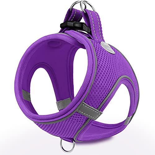 Joytale Small Dog Harness, Breathable Mesh Step-in Vest, Reflective Soft Padded Harnesses for Cats and Puppies Dogs, Purple, XXXS - color: Purple, size: XXXS--Chest: 10.5-12''