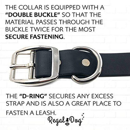 Regal Dog Products Small Black Waterproof Dog Collars with Custom Engraved Name Plate | Vinyl Coated, Anti, Easy to Clean Personalized Biothane Dog Collar - Other Sizes for Medium & Large Dogs - color: Black, size: Small Collar