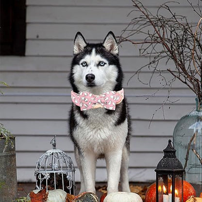 Elegant little tail Halloween Dog Collar, Pink Ghosts Print Dog Collar with Bow Puppy Collar Bowtie Flower Female Cotton Adjustable Collars for Small Medium Large Dogs - color: Pink Ghosts, size: X-Small (Pack of 1)