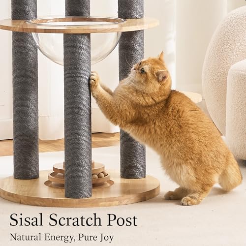 797Audio Wood Modern Cat Tree, 61.5" Cat Tower with Sisal Scratching Posts, Cat Condo, Capsule, Hamnock and Spinner Toy,Solid Wooden Aesthetic Multi-Level Cat Climbing Tree for Adult Indoor Cats-Gray - color: 62 Inch-Turntable-Gray